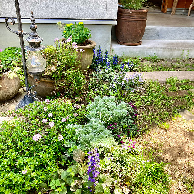 green.green.greenさんの部屋