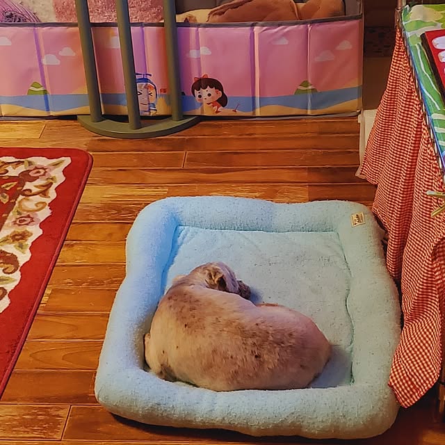 kumutanさんの部屋