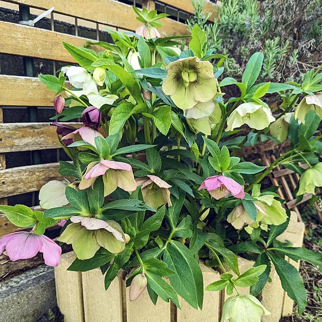 mofukoさんの部屋