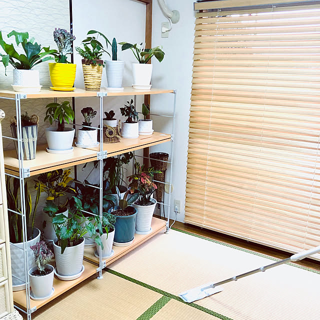 hanachanさんの部屋