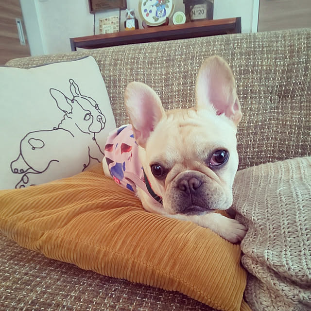 miki_kuma_koさんの実例写真