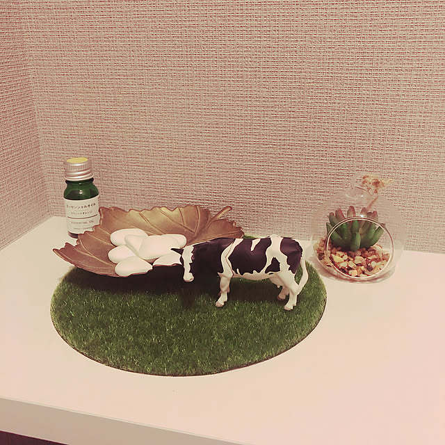 itomiさんの実例写真