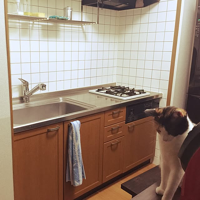 haney07さんの実例写真