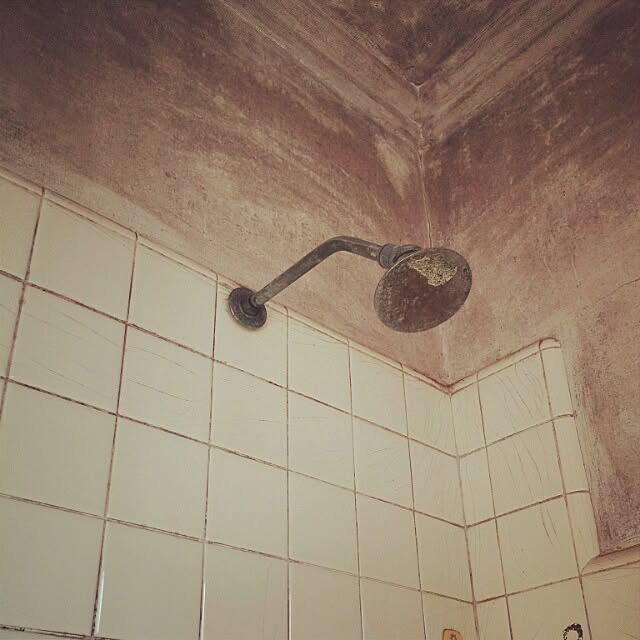 memeさんの実例写真