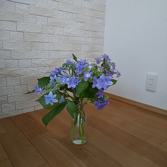 anemone37さんの部屋