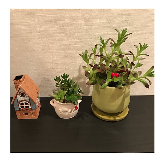yui890912さんの実例写真