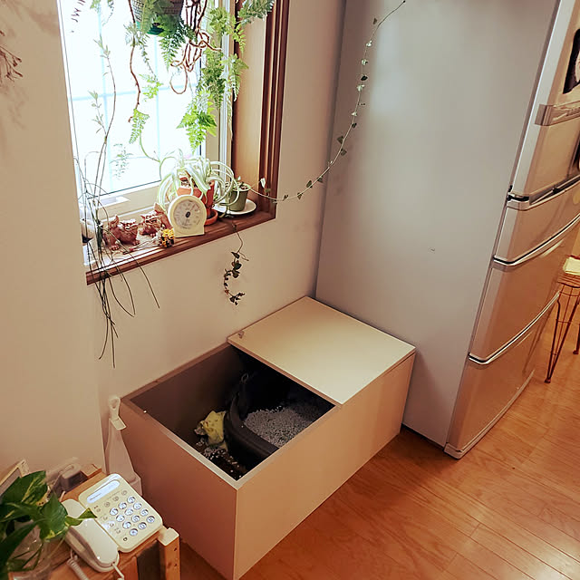 hiroさんの実例写真