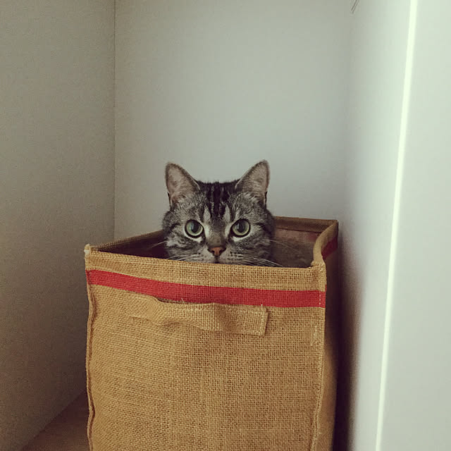 richanさんの実例写真