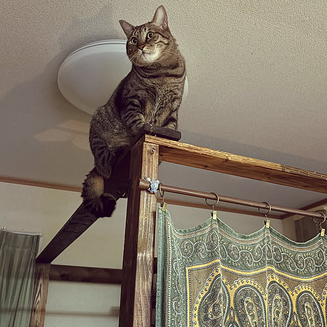 mikan161さんの実例写真