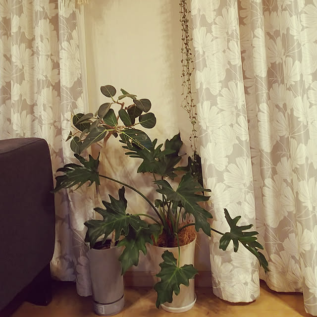akibchanさんの実例写真