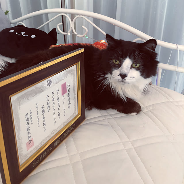 kanaさんの実例写真
