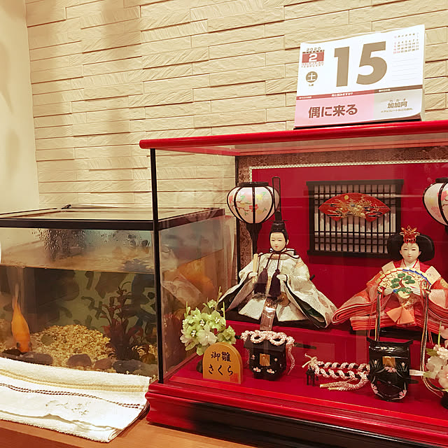 Marinaさんの実例写真