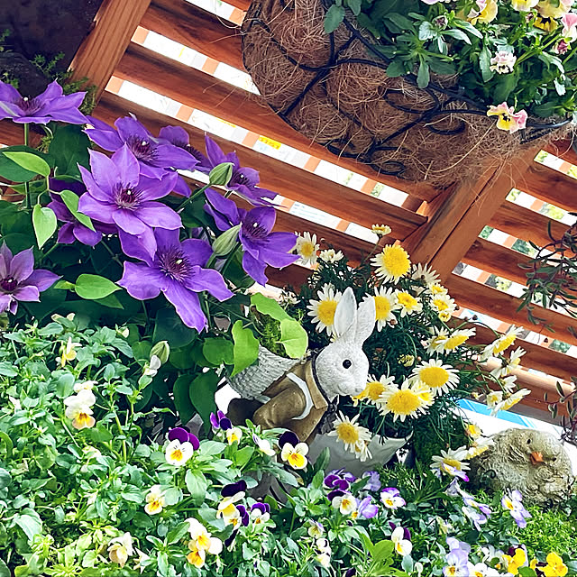 2.11maririnさんの実例写真