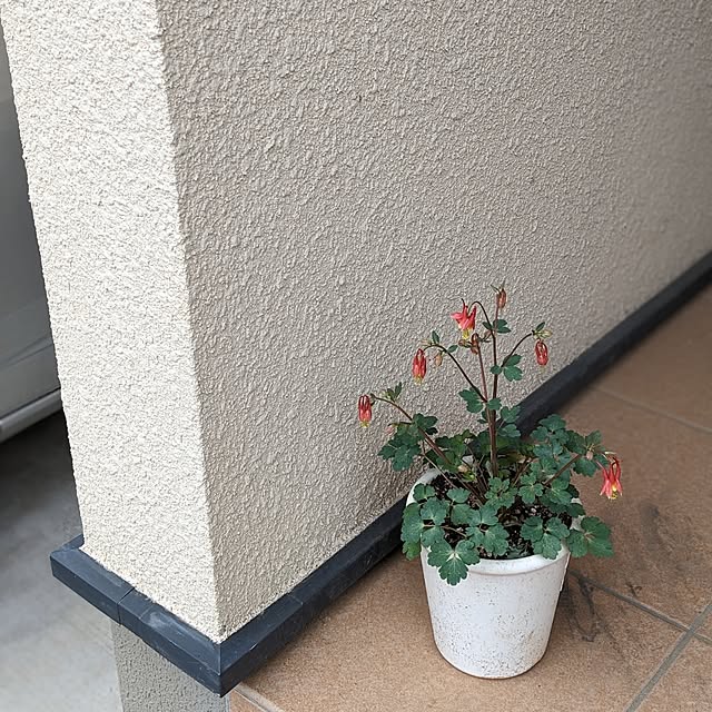 reeさんの部屋