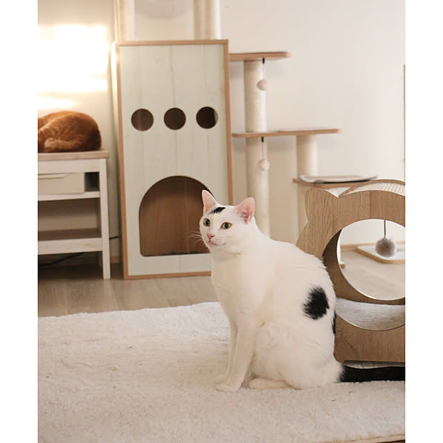 okuraさんの実例写真