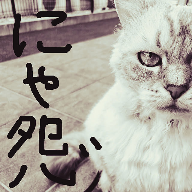 44doさんの実例写真