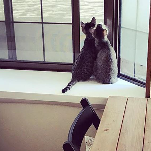 pazubomuさんの実例写真