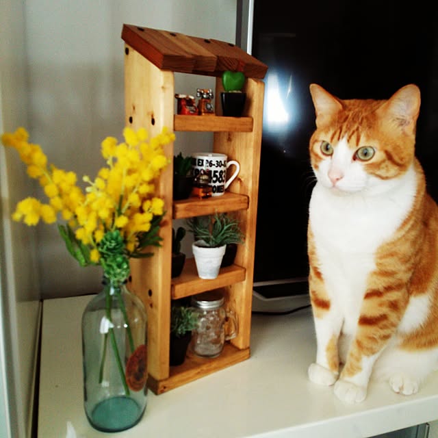 hisayuさんの実例写真
