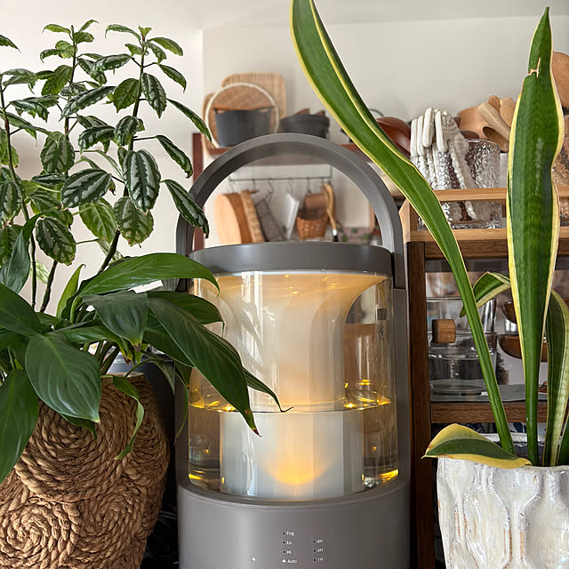 kojimasaさんの部屋