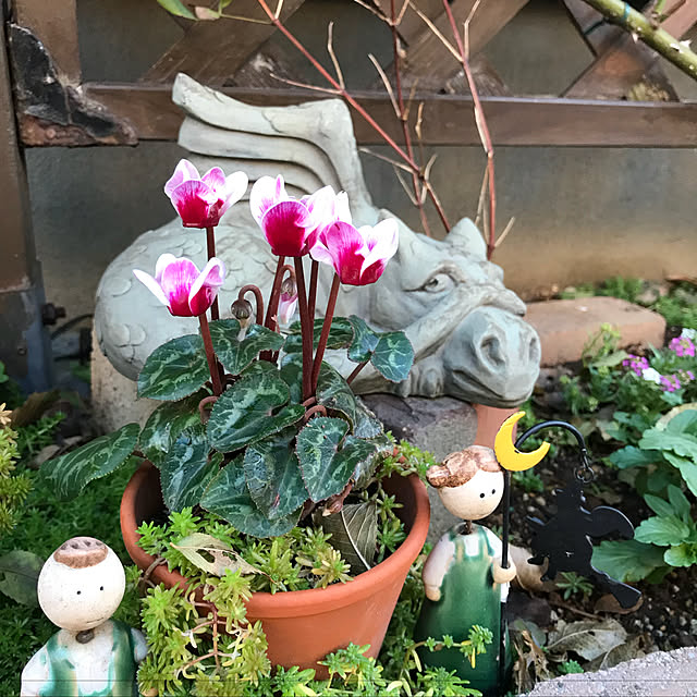 gin_mamaさんの実例写真