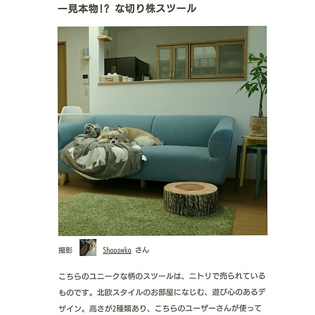 Shooowkoさんの実例写真