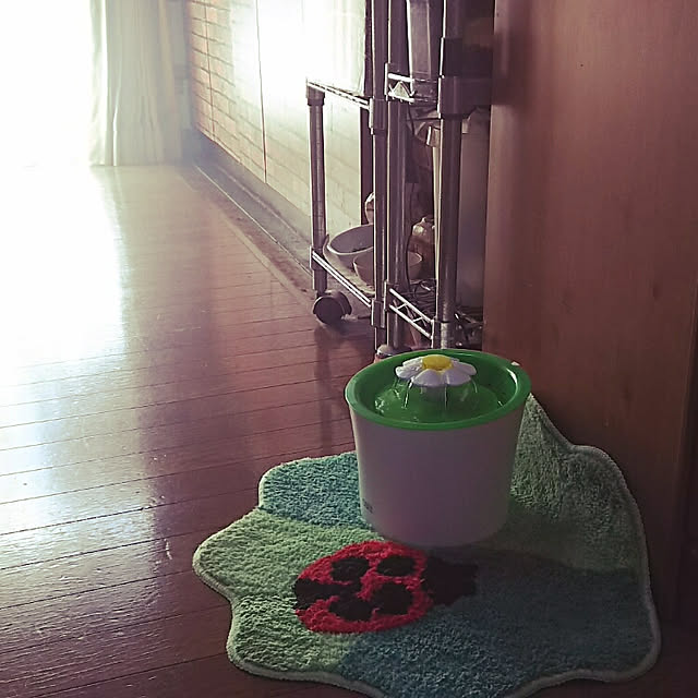 kobakissaさんの実例写真