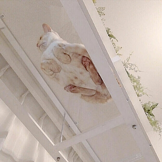 heart.emiemi57.whiteさんの実例写真
