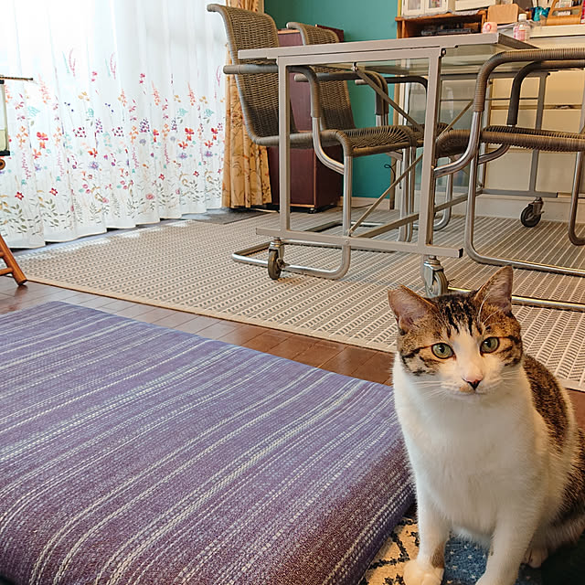okyosan101さんの実例写真