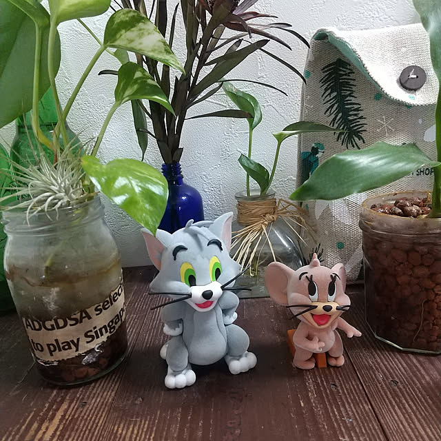 montomoさんの実例写真