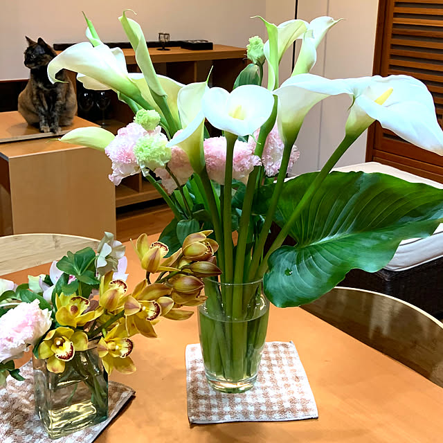 cocoさんの部屋