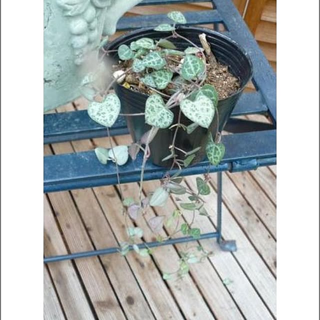 Sao0311さんの実例写真