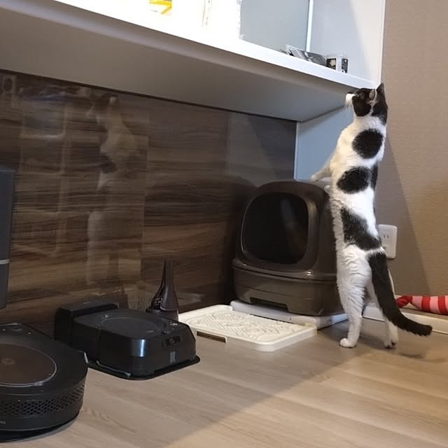 NOAHさんの部屋