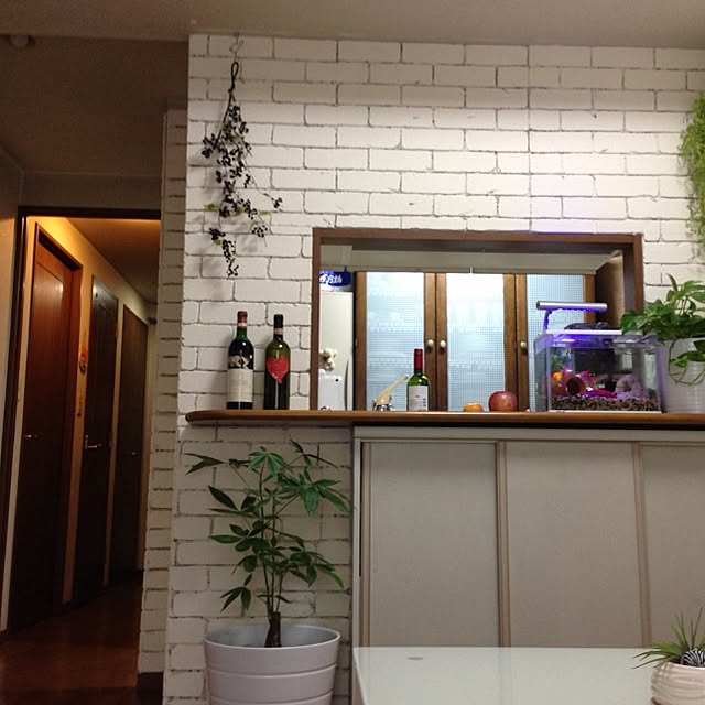 kiyomiさんの実例写真