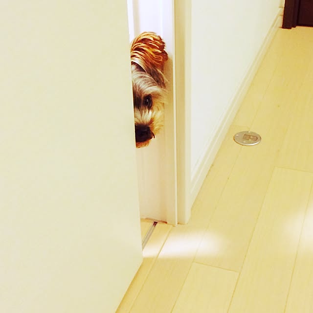 kyon726さんの実例写真