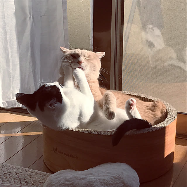 nicoさんの実例写真