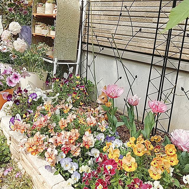 aikkoさんの実例写真