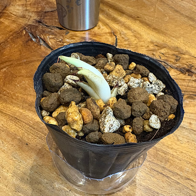 t-k-aさんの実例写真