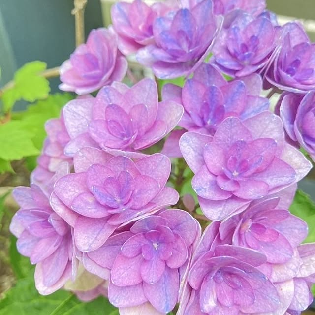 min_nimさんの実例写真