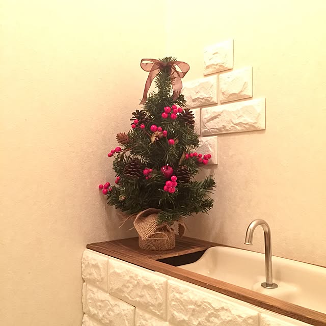 Kaneyukiさんの実例写真