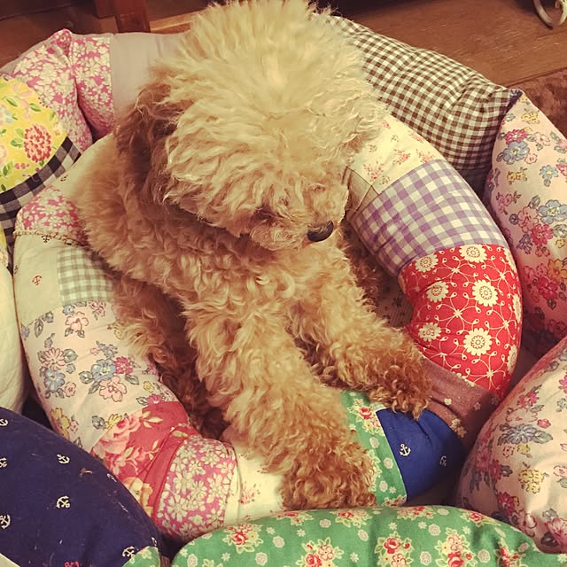 miemieさんの実例写真