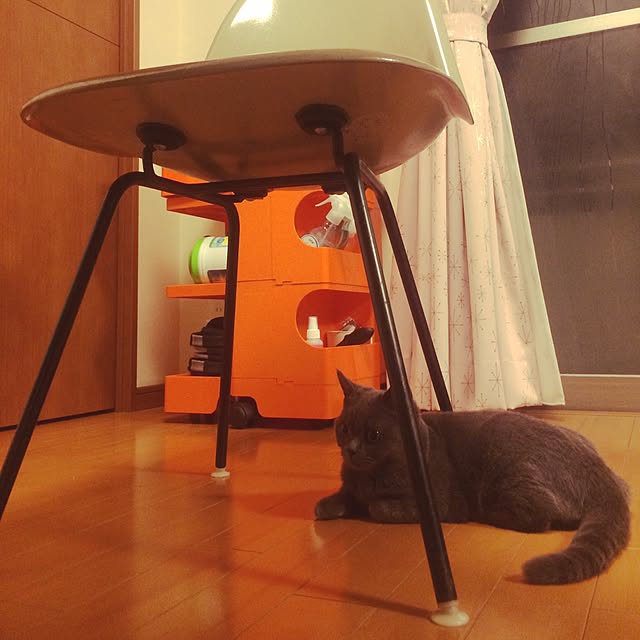 Shojiさんの実例写真