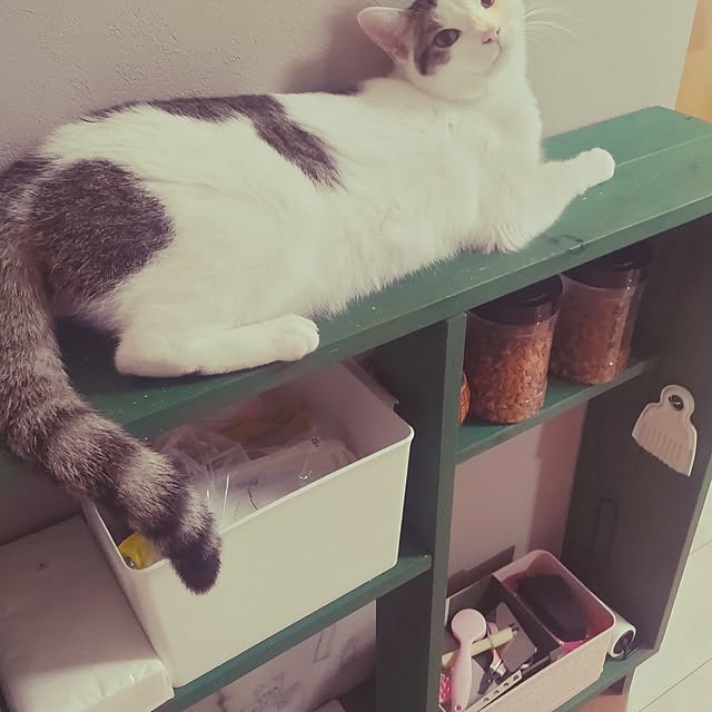 tomoenoさんの部屋