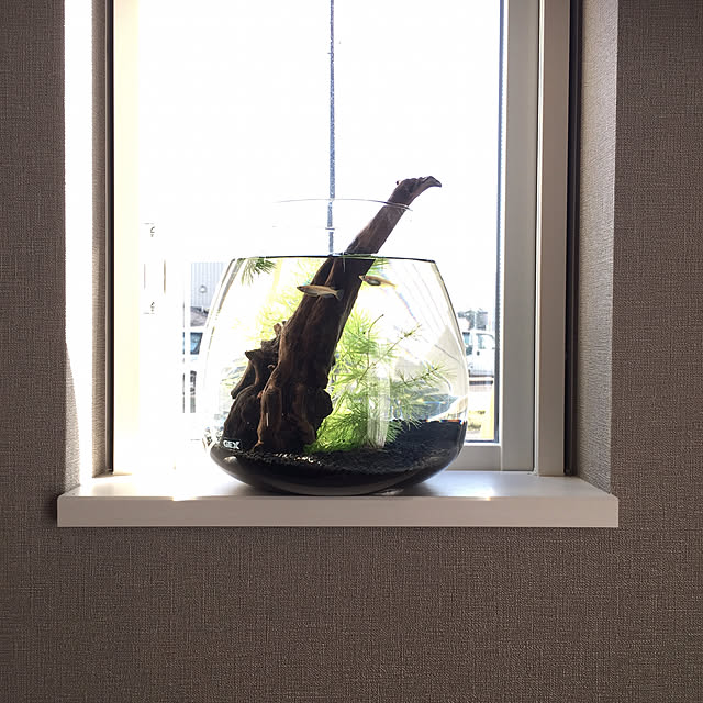 yumさんの実例写真