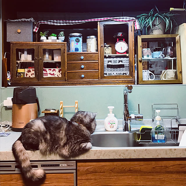 Marinさんの実例写真