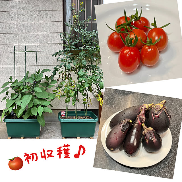 Hannahさんの実例写真