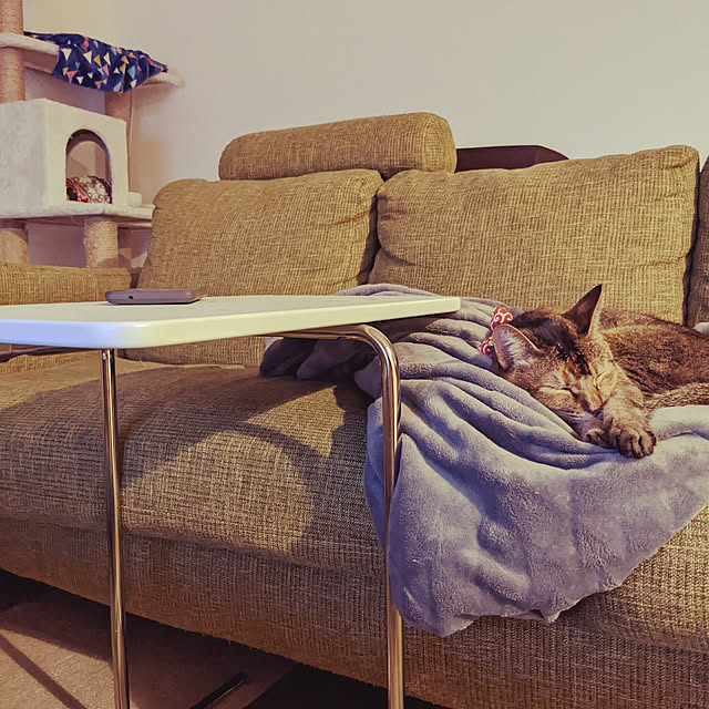 nekomataさんの実例写真