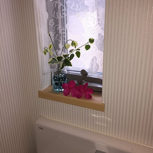 pistachioさんの実例写真