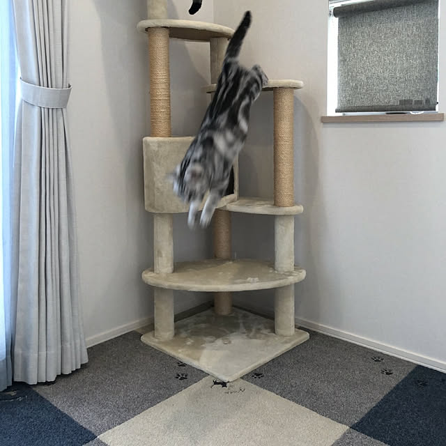 NANACOCOさんの実例写真