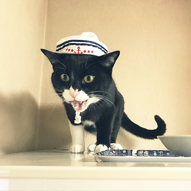 mtkさんの実例写真
