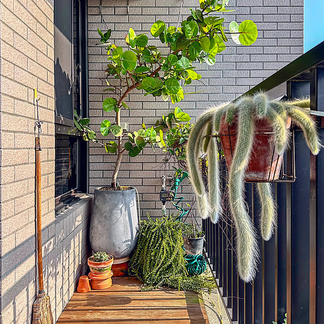 mr_Grassさんの実例写真